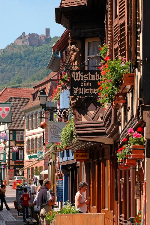 Illustration du guide: Visiter l’Alsace 
