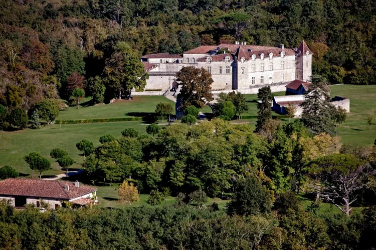 Image qui illustre: Château Royal De Cazeneuve à Préchac - 1