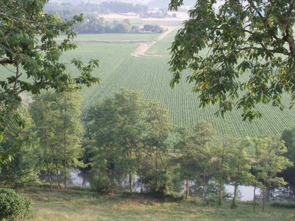 Image qui illustre: Vallée du Dropt à Gironde-sur-Dropt - 2