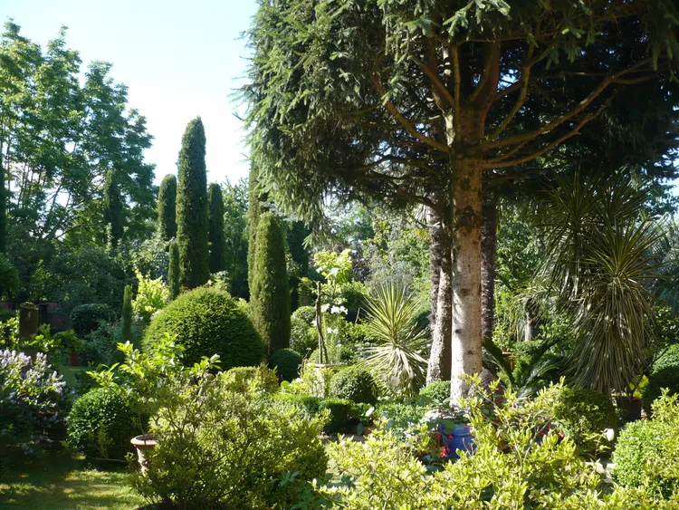 Image qui illustre: Jardin du Clozet à Floirac - 0