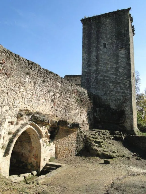 Image qui illustre: Cité médiévale de Rions à Rions - 0