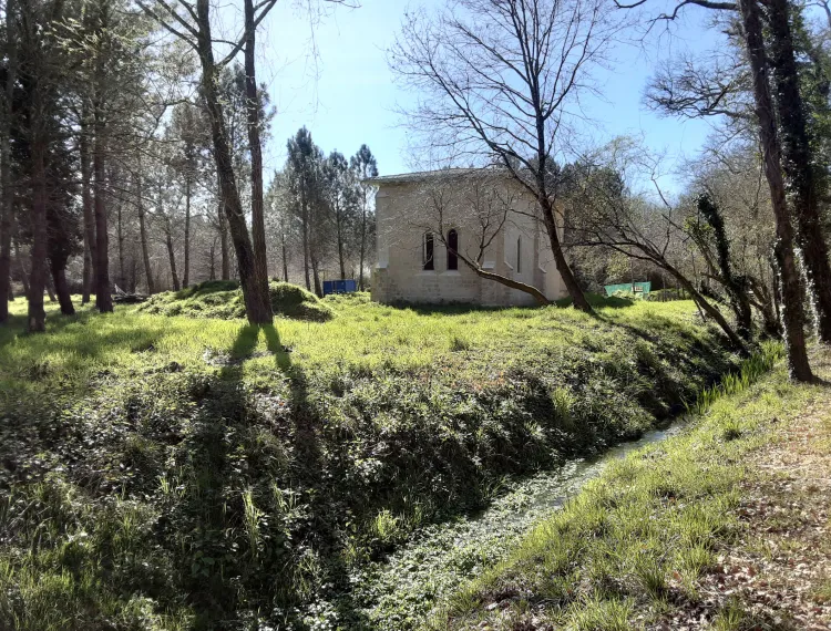 Image qui illustre: La chapelle de Brax à Landiras - 0