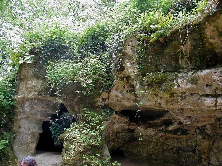 Image qui illustre: Grotte De Pair-non-pair à Prignac-et-Marcamps - 0