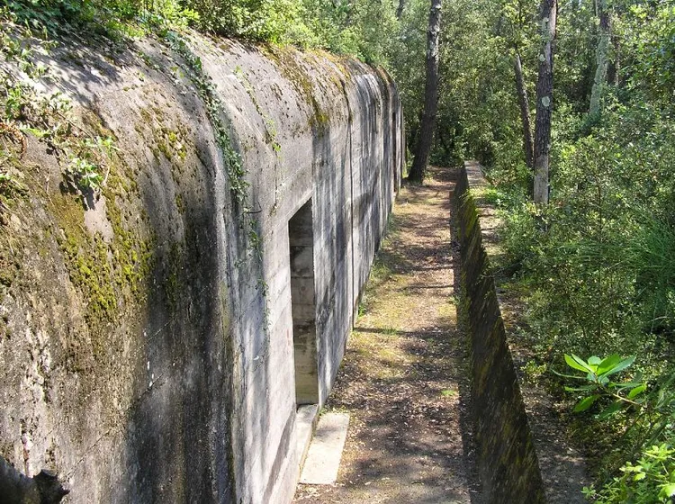 Image qui illustre: Les bunkers du mur de l'Atlantique à Le Verdon-sur-Mer - 0