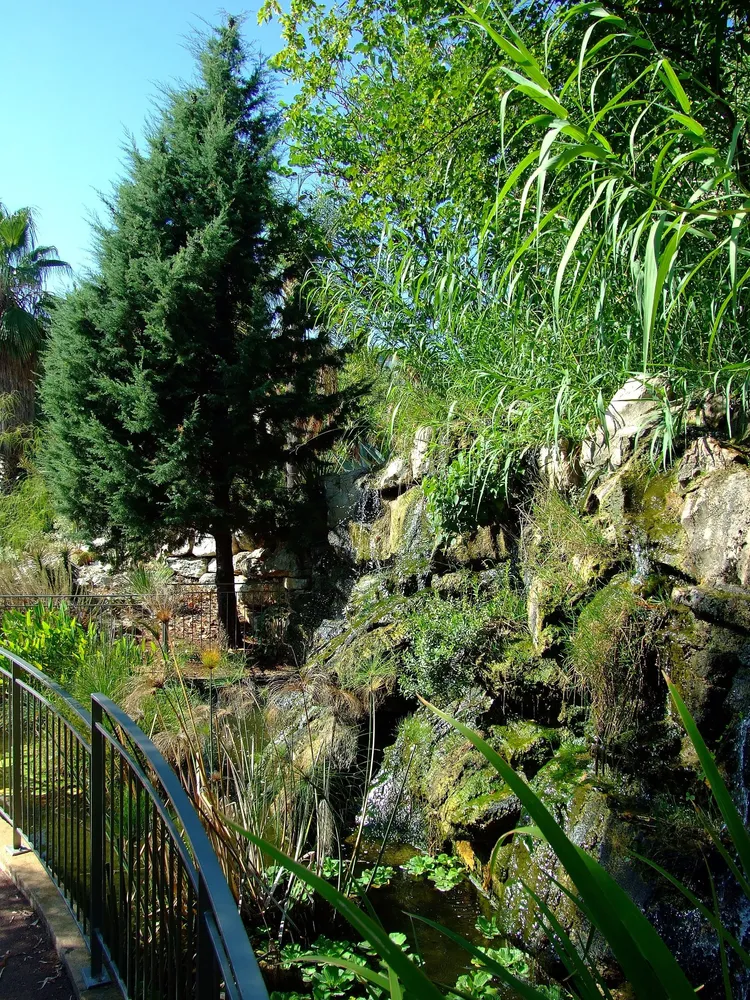 Image qui illustre: Jardin Botanique De Nice à Nice - 0