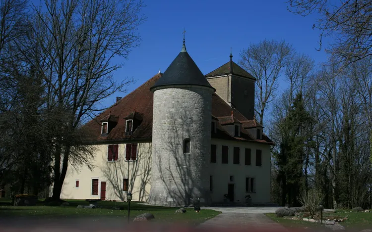 Image qui illustre: Château de Maisod à Maisod - 0