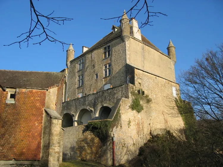 Image qui illustre: Château de Frontenay à Frontenay - 0