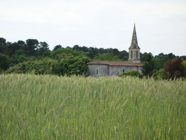 Image qui illustre: Eglise Saint-Vincent de Lignan-de-Bazas à Lignan-de-Bazas - 2