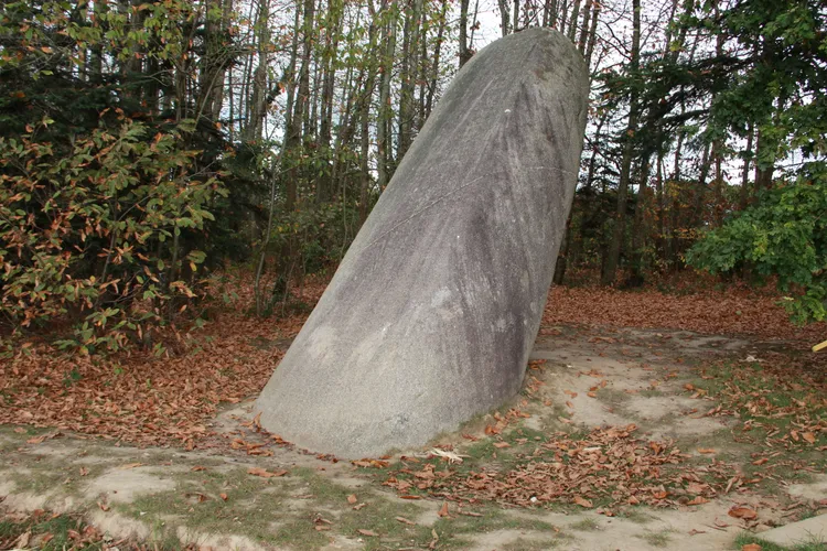 Image qui illustre: Menhir de la Tiemblais à Saint-Samson-sur-Rance - 0