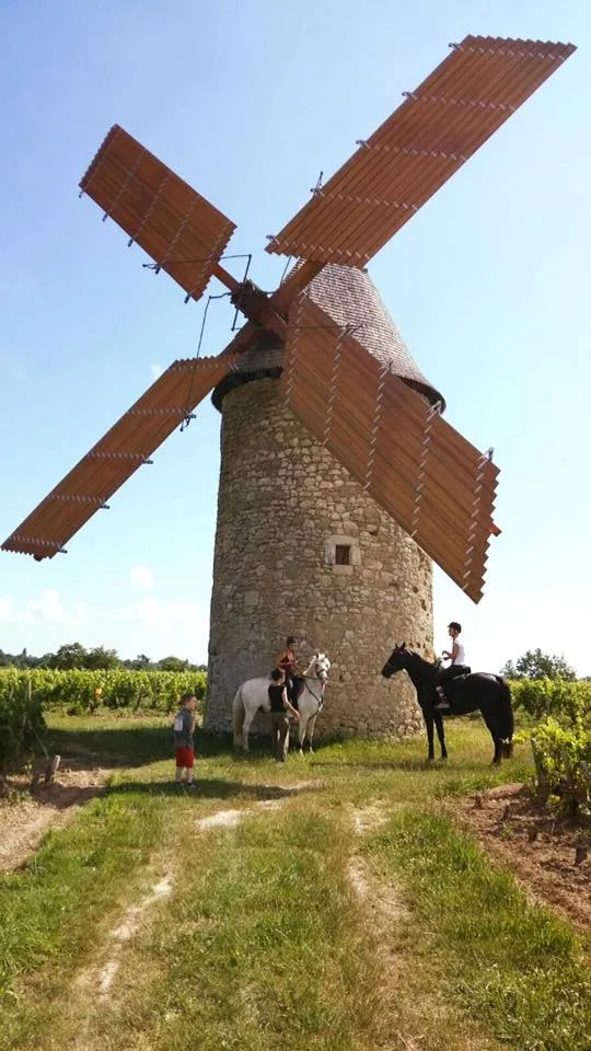 Image qui illustre: Moulin à vent de Courrian à Blaignan-Prignac - 1