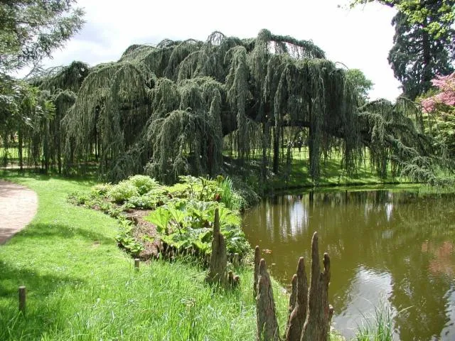 Image qui illustre: Arboretum de la vallée-aux-Loups