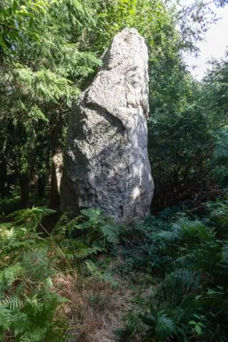 Image qui illustre: Menhir de Saint-Julien