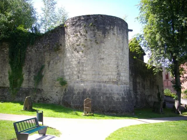 Image qui illustre: Fortifications De Sarrebourg