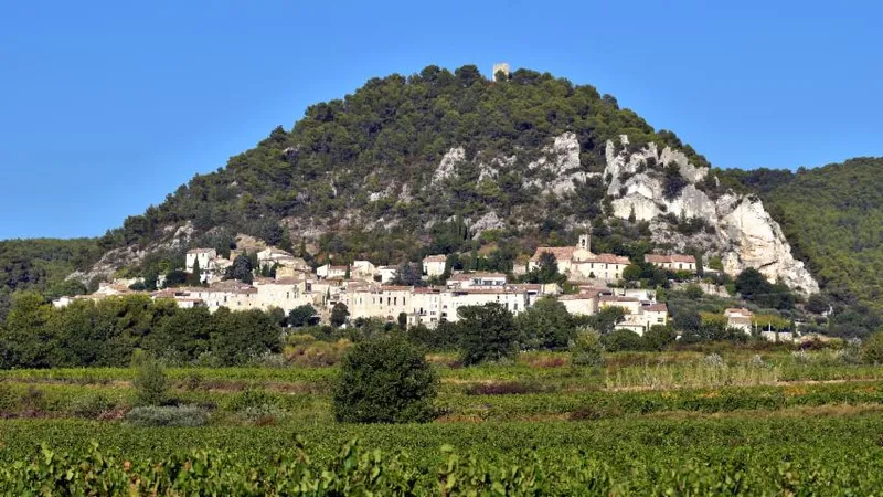 Image qui illustre: Village de Séguret