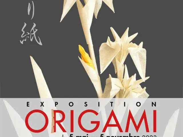 Image qui illustre: Exposition - Origami
