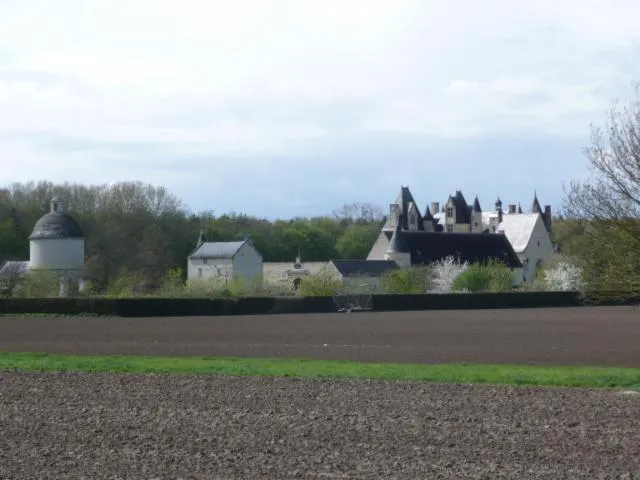 Image qui illustre: Château De Boumois