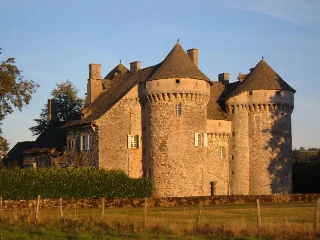 Image qui illustre: Château de la Vigne