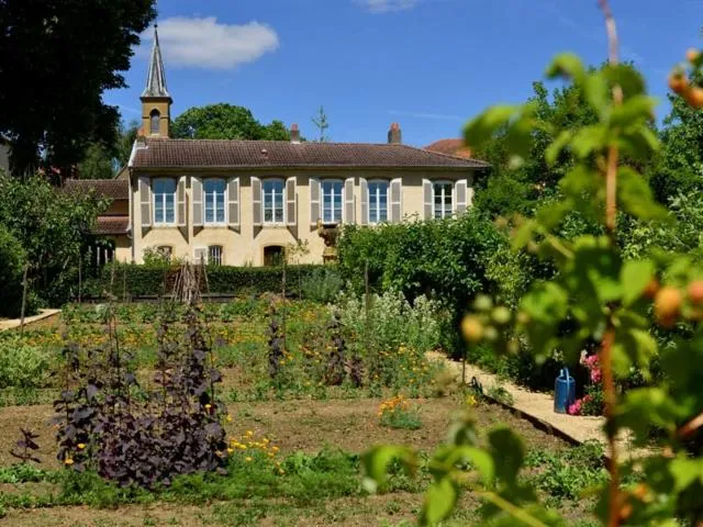 Image qui illustre: Jardin Des Plantes De Chez Nous - Maison De Robert Schuman