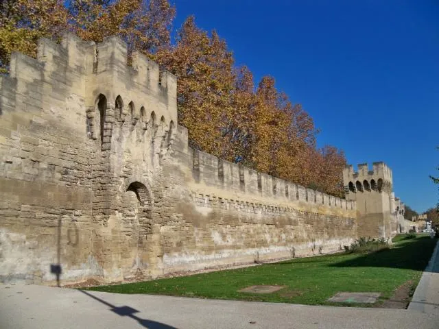 Image qui illustre: Remparts d'Avignon