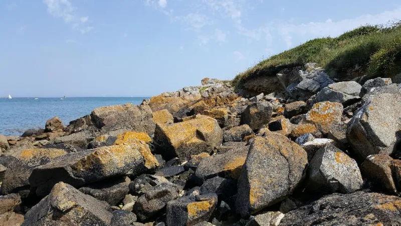 Image qui illustre: Site Géologique de Port Béni