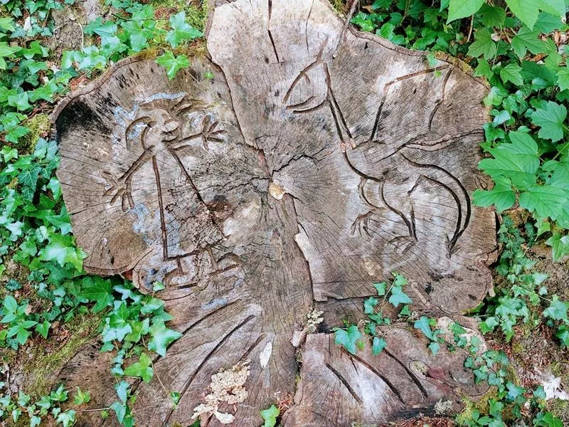 Image du carousel qui illustre: Sentier Du Dragon Et De La Petite Fille à Colmen