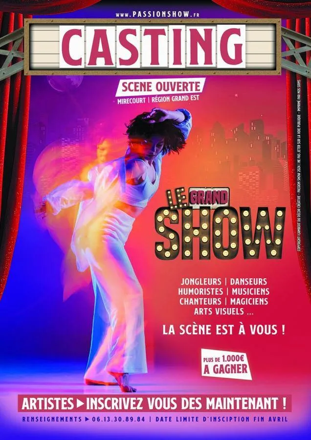 Image du carousel qui illustre: Casting Le Grand Show à Mirecourt