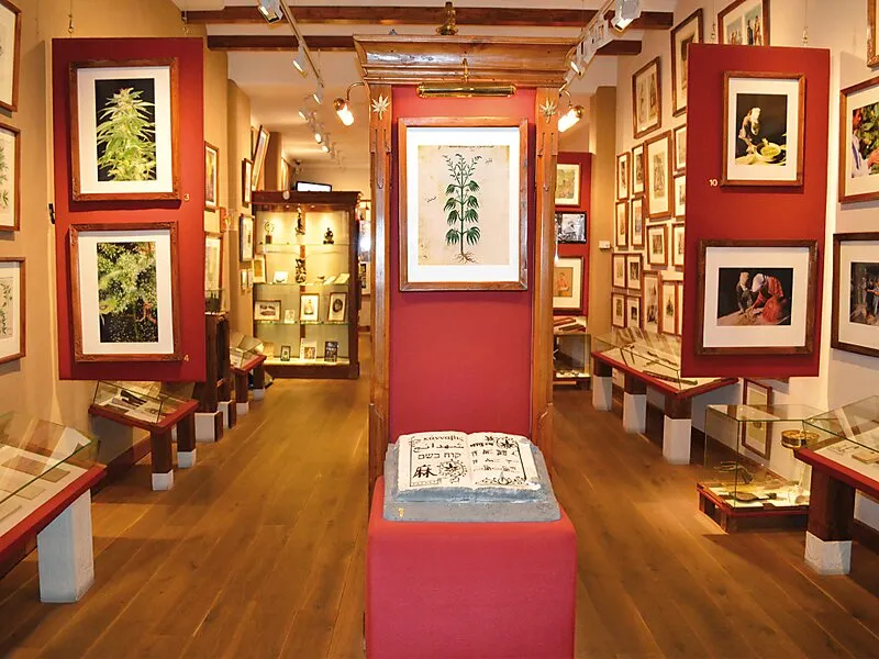 Image du carousel qui illustre: Hash Marihuana & Hemp Museum à 