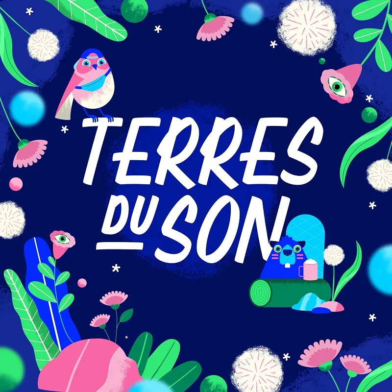 Image du carousel qui illustre: Festival Terres Du Son à Monts
