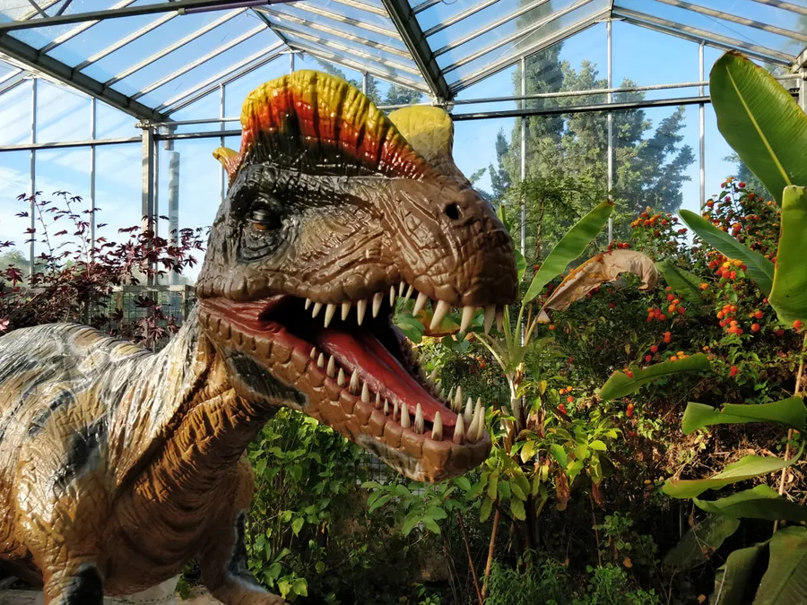 Image du carousel qui illustre: Dinosarium - Jurassic Room à Torreilles