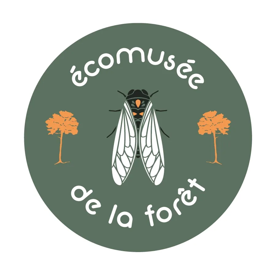 Image du carousel qui illustre: Ecomusée De La Forêt Méditerranéenne à Gardanne