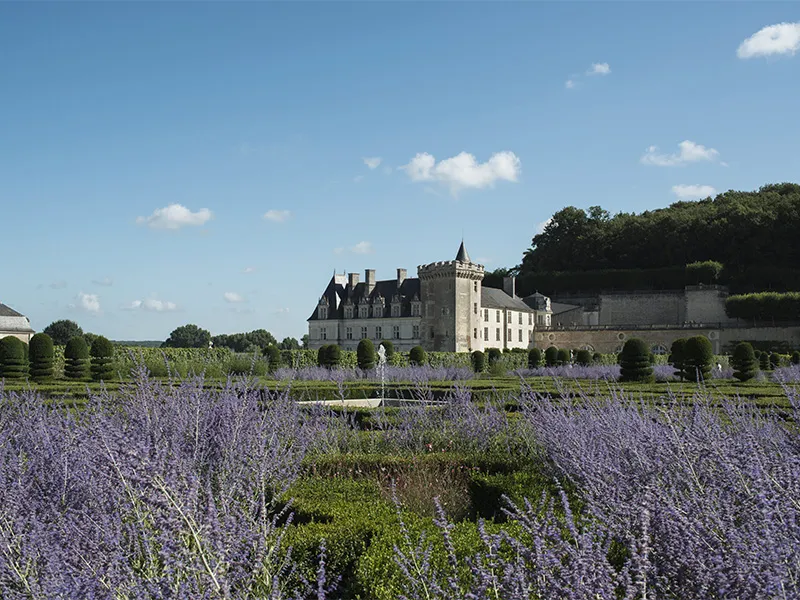 Image du carousel qui illustre: Château Et Jardins De Villandry à Villandry