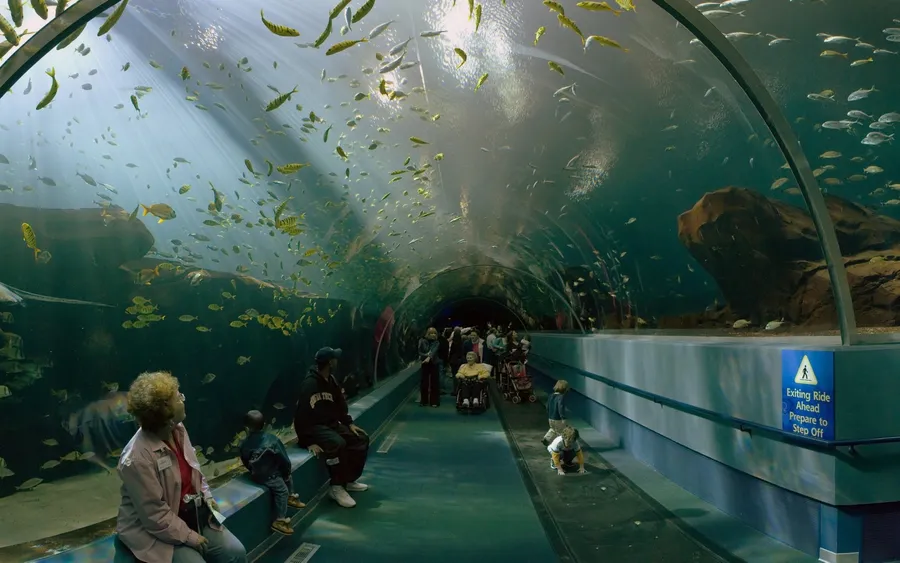 Image du carousel qui illustre: Aquarium La Rochelle à La Rochelle