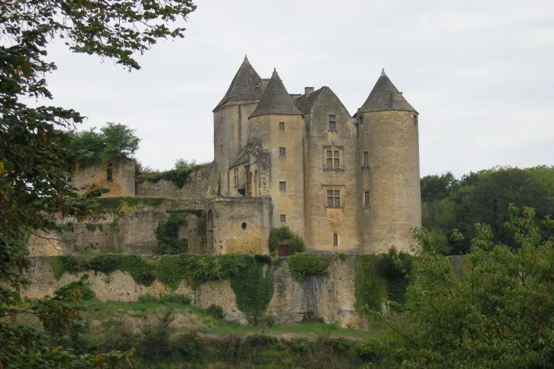Image du carousel qui illustre: Château De Salignac à Salignac-Eyvigues