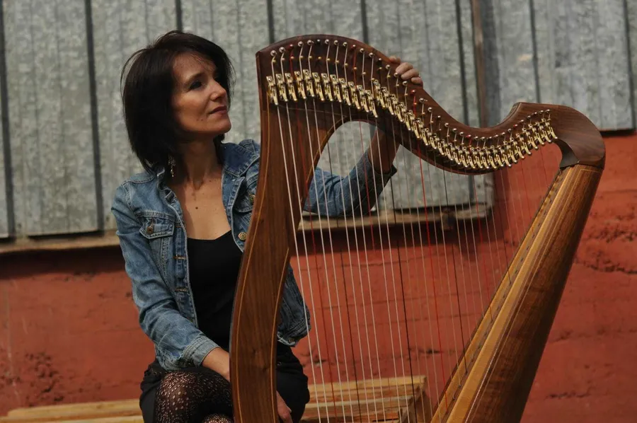 Image du carousel qui illustre: Concert de harpe celtique à Guiry-en-Vexin