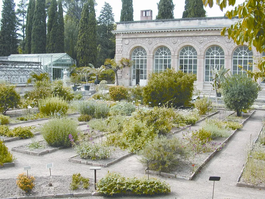 Image du carousel qui illustre: Le Jardin Des Plantes à Montpellier
