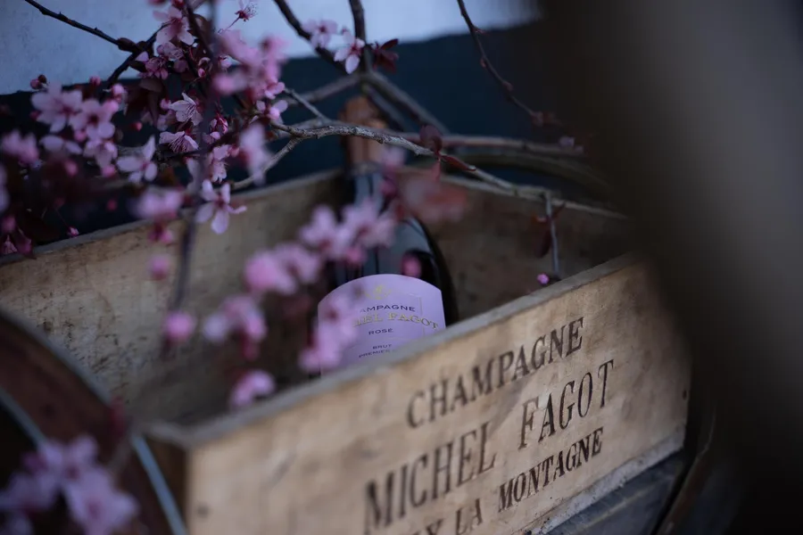 Image du carousel qui illustre: Champagne Michel Fagot à Rilly-la-Montagne