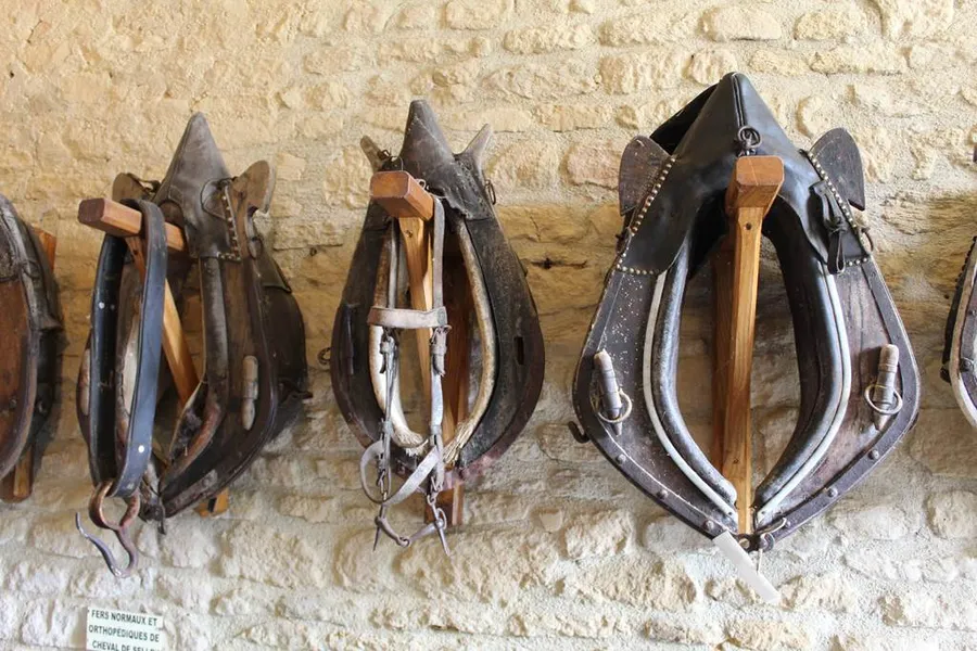 Image du carousel qui illustre: Musée du cheval de trait ardennais à Buzancy