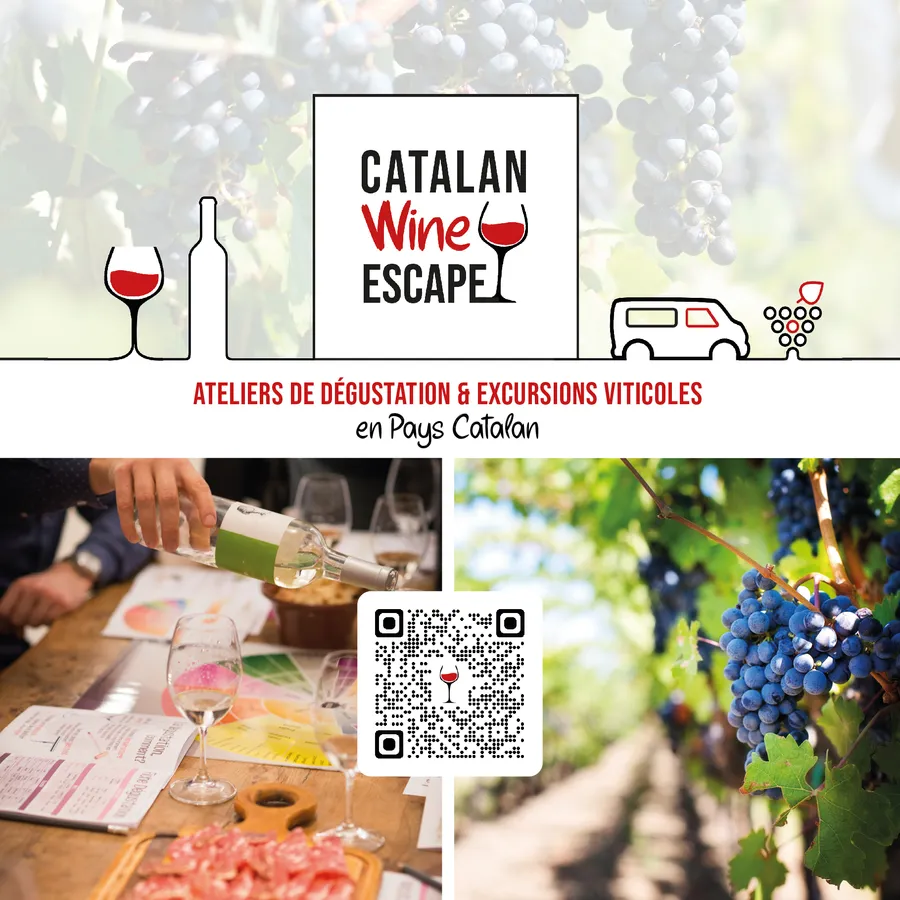 Image du carousel qui illustre: Catalan Wine Escape à Perpignan