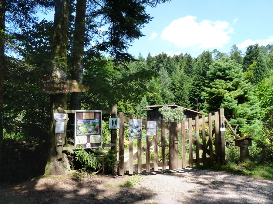 Image du carousel qui illustre: Jardin Botanique De Gondremer à Autrey