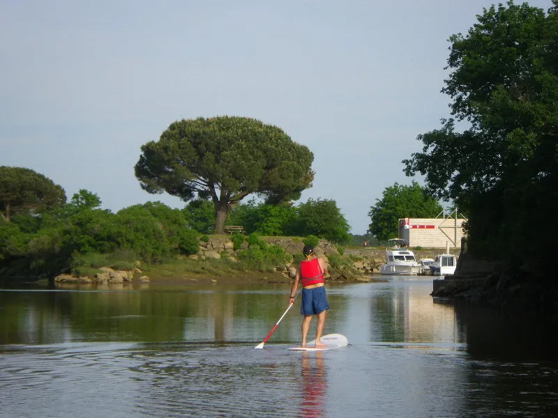 Image du carousel qui illustre: Ecoplaisance du Delta à Le Teich