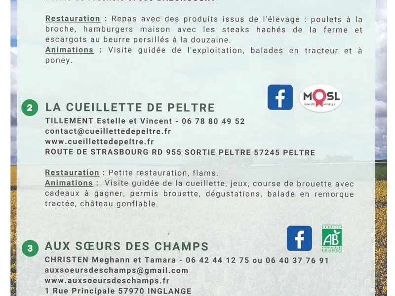 Image du carousel qui illustre: Un Dimanche De Fête A La Campagne à Metz