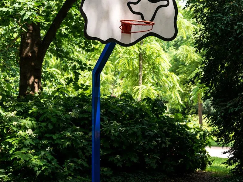 Image du carousel qui illustre: Street Art - Panier De Basket à Nancy