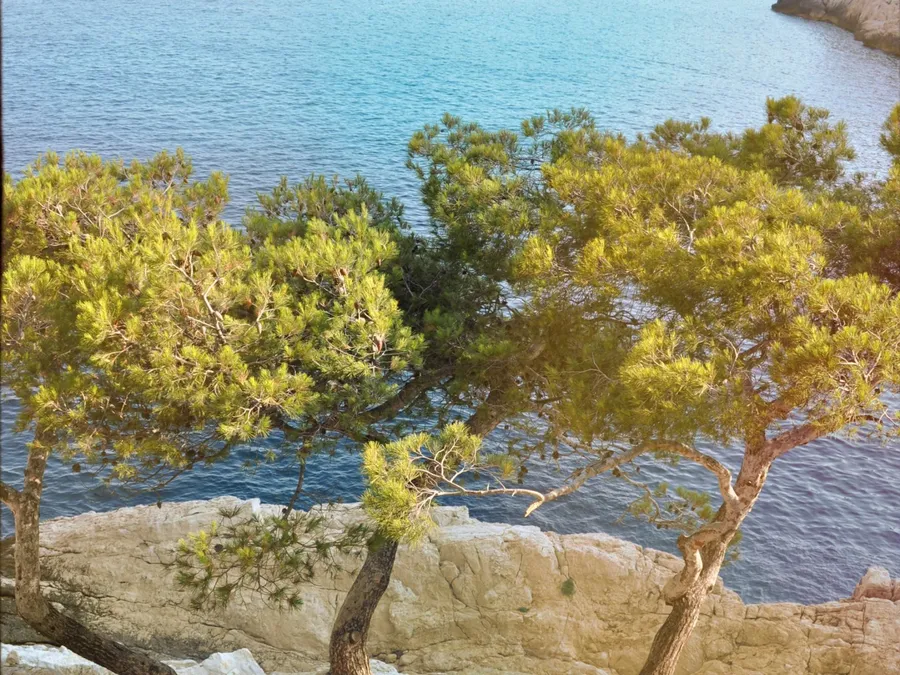Image du carousel qui illustre: Parc national des Calanques à Marseille