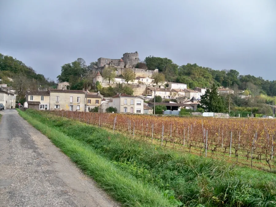 Image du carousel qui illustre: Route des vins n°9 Route des coteaux de Bordeaux à Latresne
