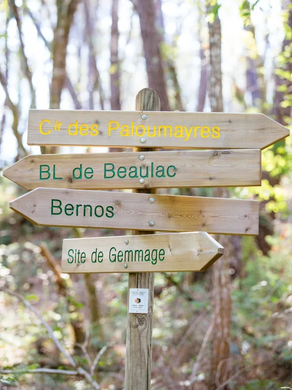 Image du carousel qui illustre: Village de Bernos-Beaulac à Bernos-Beaulac