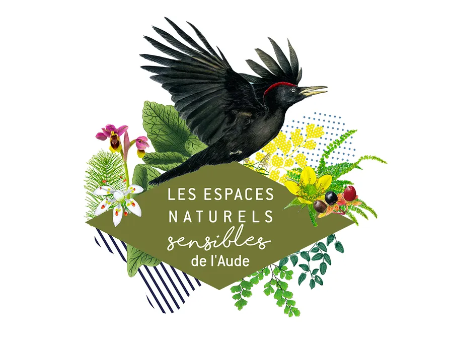 Image du carousel qui illustre: Ens - Les Oiseaux De Fontfroide à Narbonne