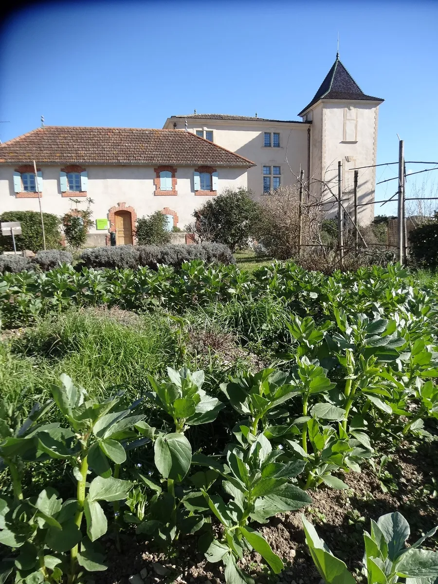 Image du carousel qui illustre: Atelier Initiation Jardinage Bio à Prades-le-Lez