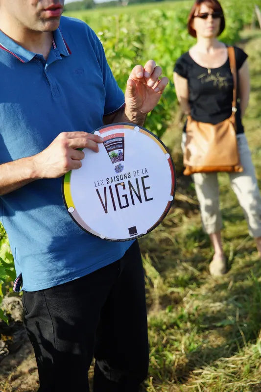 Image du carousel qui illustre: Vinoloire Wine-tours à Tours