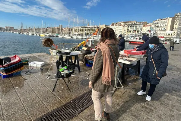 Image du carousel qui illustre: Marseille Highlights à Marseille