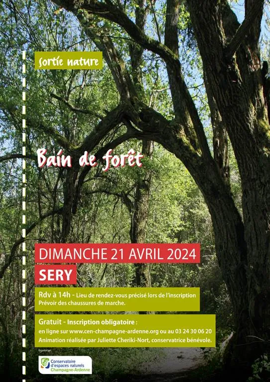 Image du carousel qui illustre: Bain De Forêt à Sery